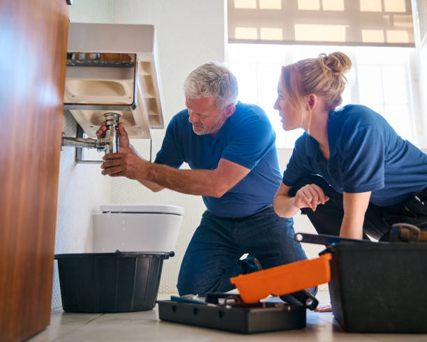 Best Plumbing Inspection Services  in Fife, WA